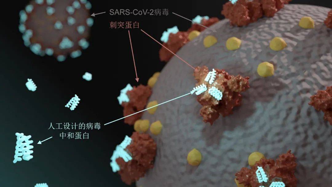 预测|会预测蛋白结构的AI，还要教我们设计新蛋白