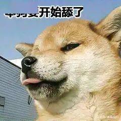 b9fbb0ee0e2f408fabce48f84e1f1005.jpeg