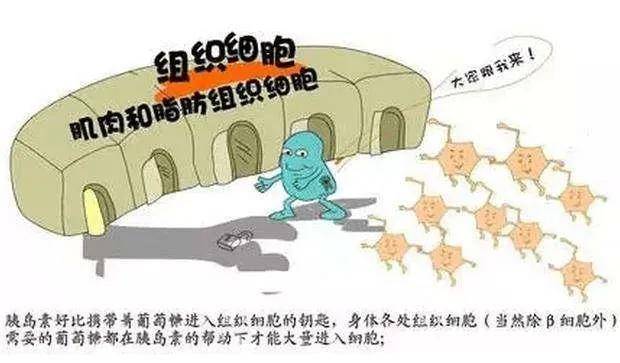 什么是胰岛素抵抗怎么解决 c693dc67fe934deba8c6c7ca56b91745.jpeg