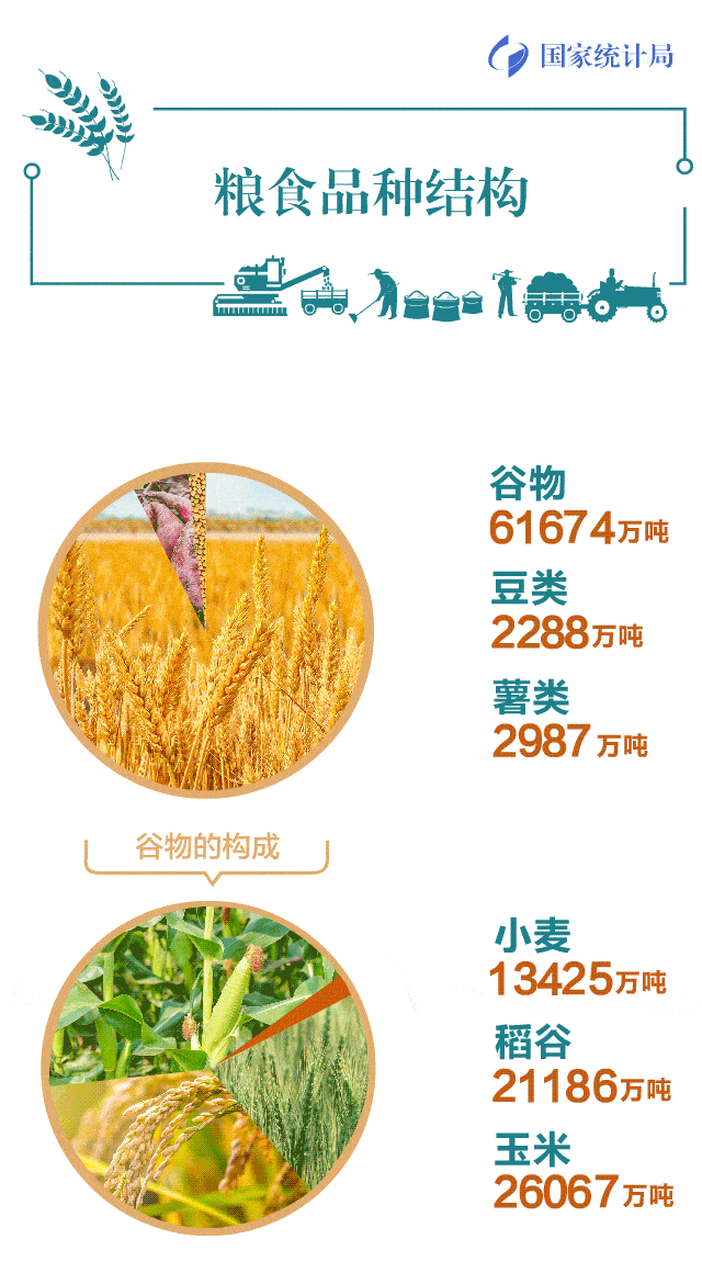人均粮食占有量_节约粮食手抄报(2)