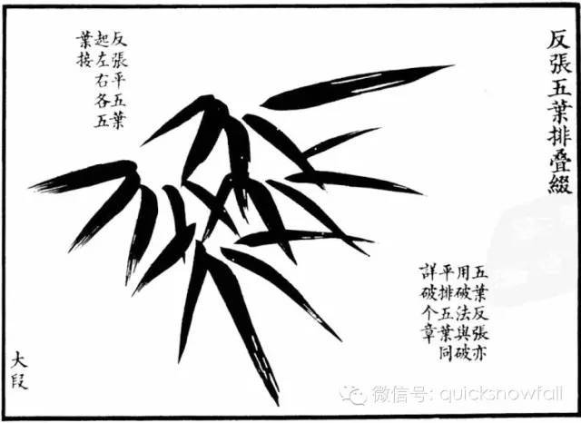竹子简谱画_竹子画
