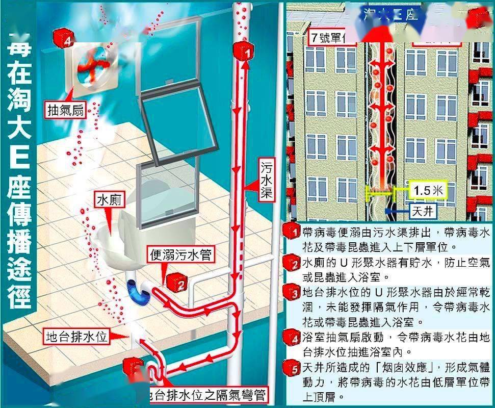 灾难过后人口_灾难过后的希望的图片(2)