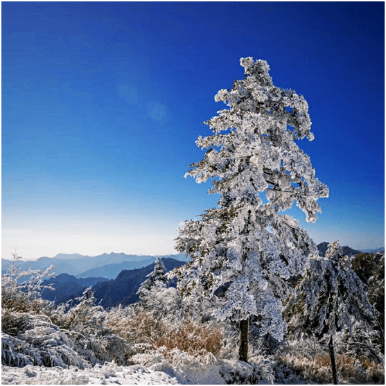 (图片来源:龙头山景区(图:汉江源景区 佛坪雪景(图:紫柏山景区)