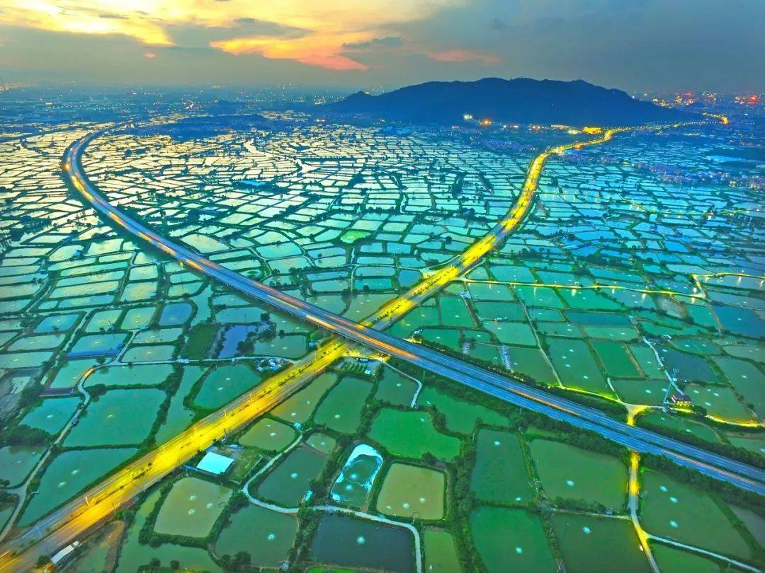 佛山桑园围入选世界灌溉工程遗产!周边超多美景,周末出游攻略get