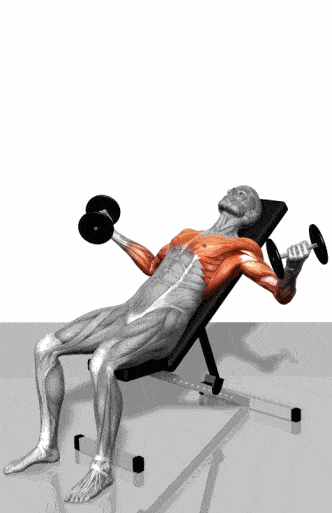 f7f375a9b4fb4916ab492533a18dac31.gif