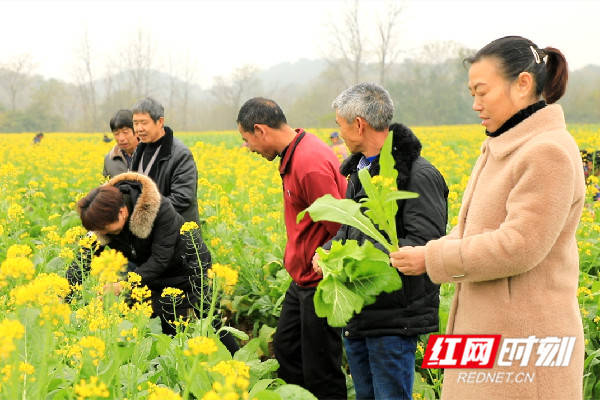 花滩老总_合川花滩规划图(3)