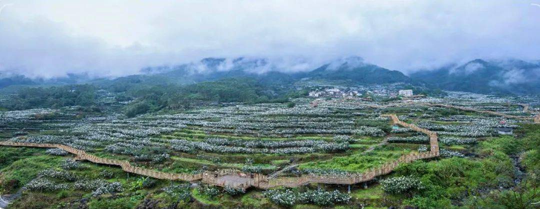 中国美丽休闲乡村—漳州云霄县棪树村_手机搜狐网