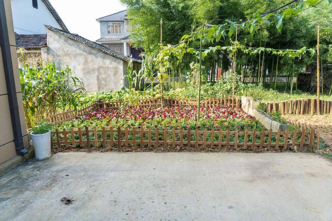 美丽庭院 | 板桥镇板桥村:多一方雅院,多一份文明