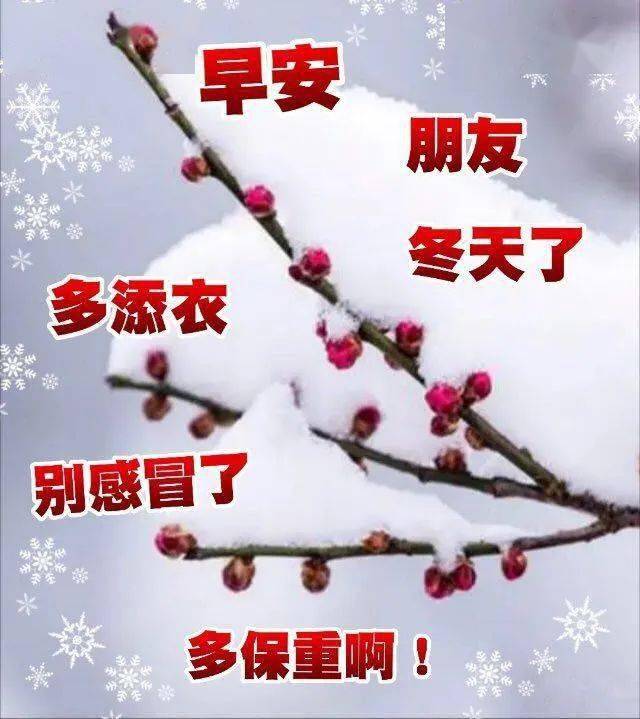 2020冬季腊梅鲜花早安图片带字带祝福语,暖心的冬天早上好祝福语图片