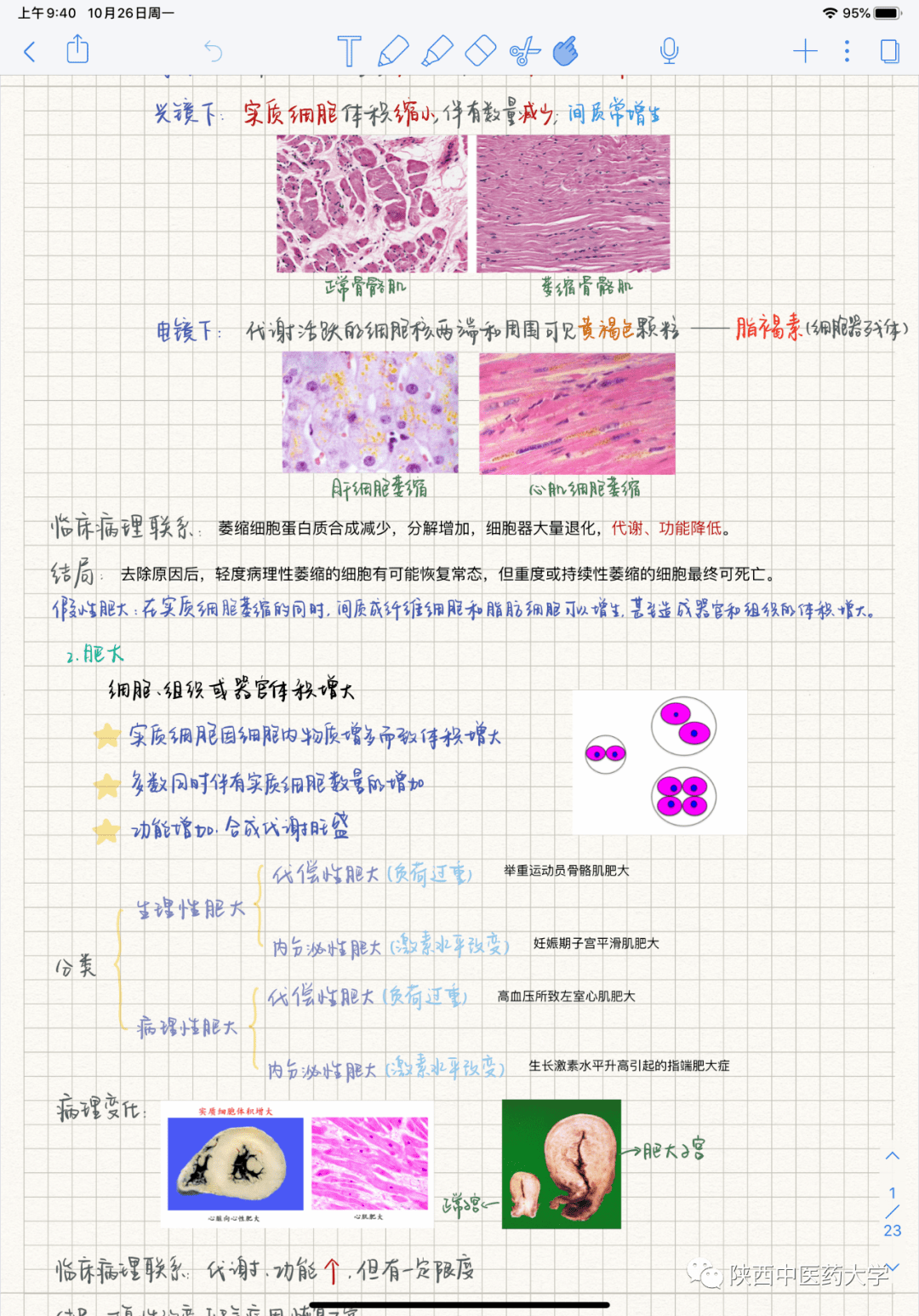 可人儿简谱_儿歌简谱(2)