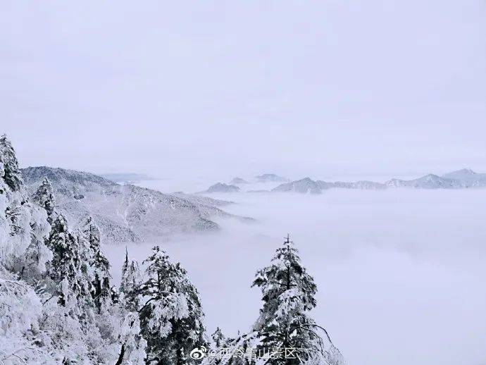 西岭雪山早已白成了一片