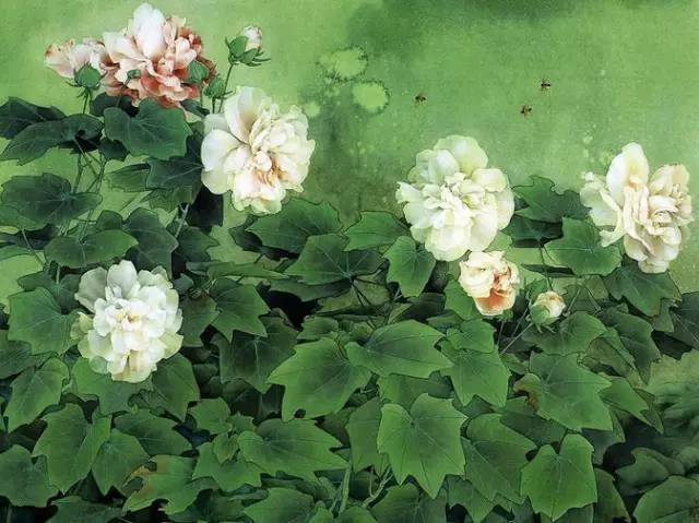 工笔芙蓉花,收藏后慢慢欣赏!