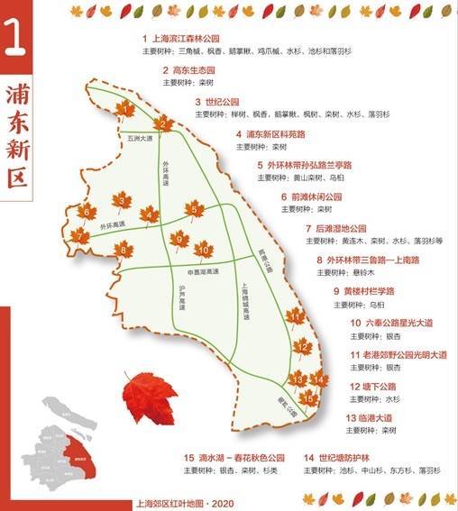 
2020版上海郊区红叶舆图新鲜出炉“开云手机app”(图2)