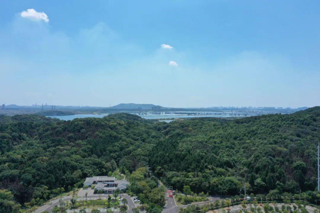 武汉开发区龙灵山自动驾驶景区迎来一批特殊的体验者