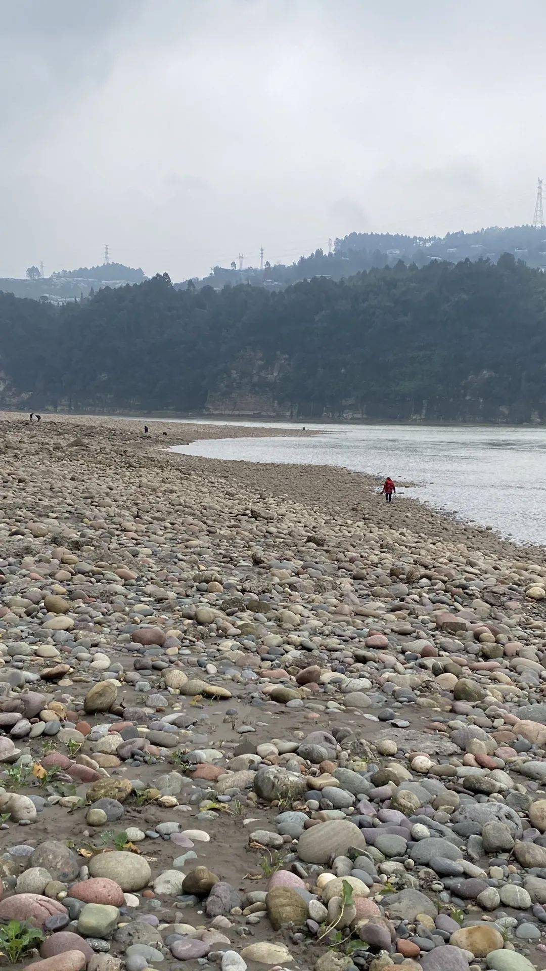 说在五通桥区金粟镇的岷江边上,有许多村民每天都在河滩地里挖宝贝