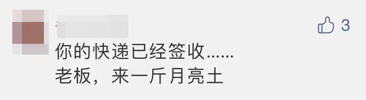 四子王旗|“嫦五”回家，没想到抢镜的是它