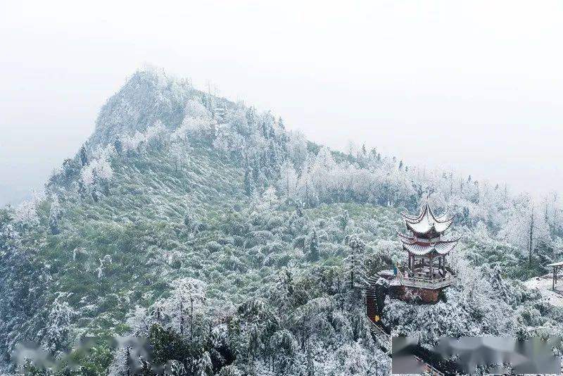 泸州这个地方下 雪啦!