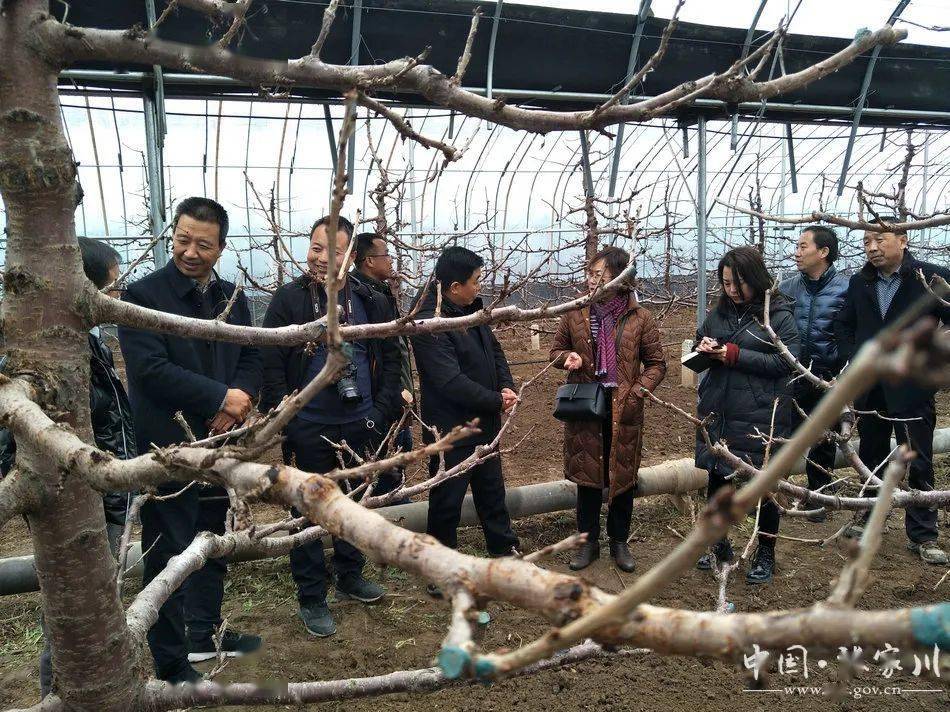天水市各县区人口排名_天水市地图(3)