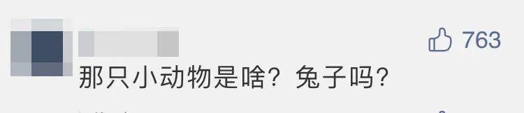 四子王旗|“嫦五”回家，没想到第一个找到的竟然是它？