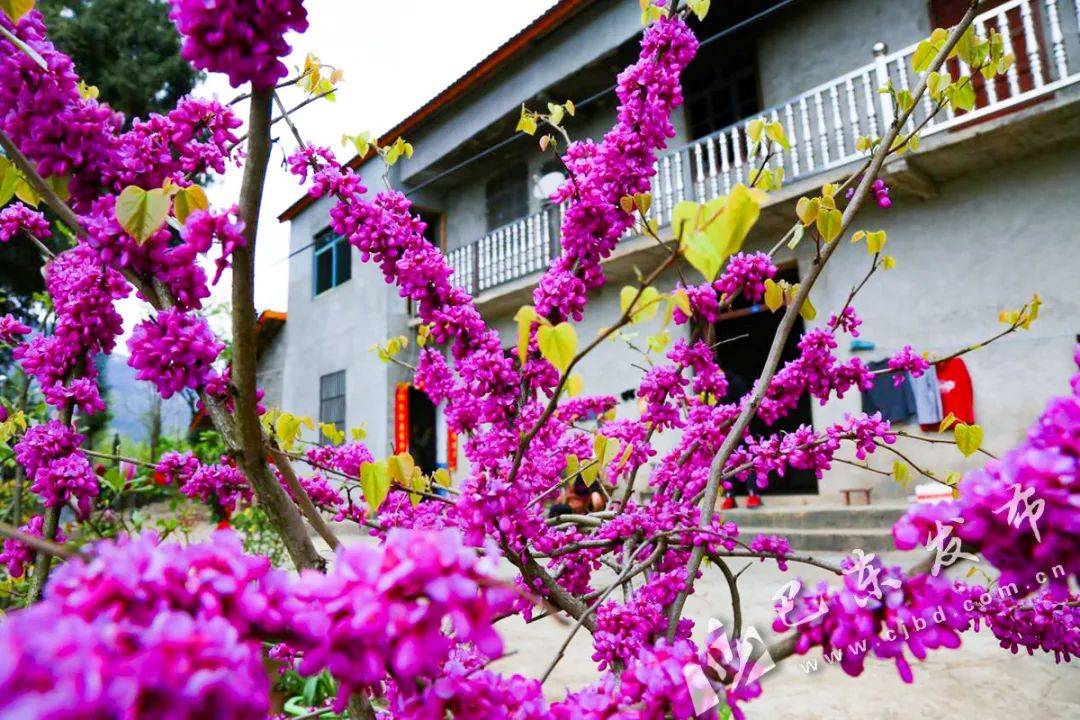 巴东县2020年GDP_巴东县公安局成员照片(3)