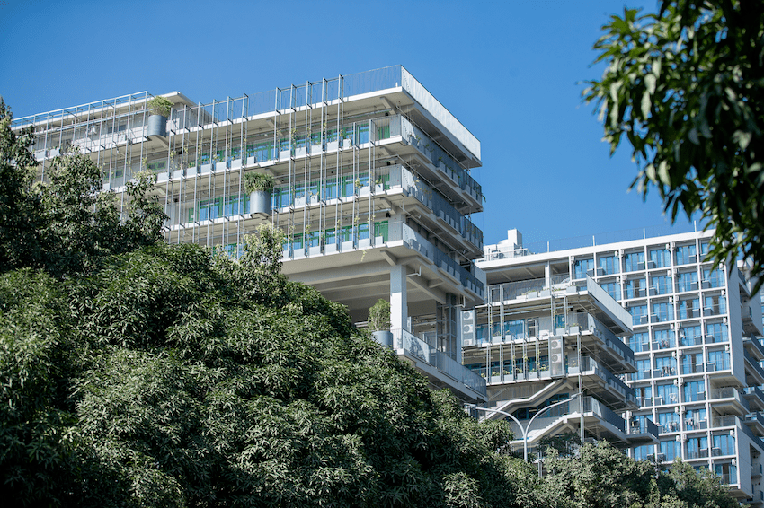 深圳国际交流学院01深圳地区的几所国际学校已经有学生收到了名校