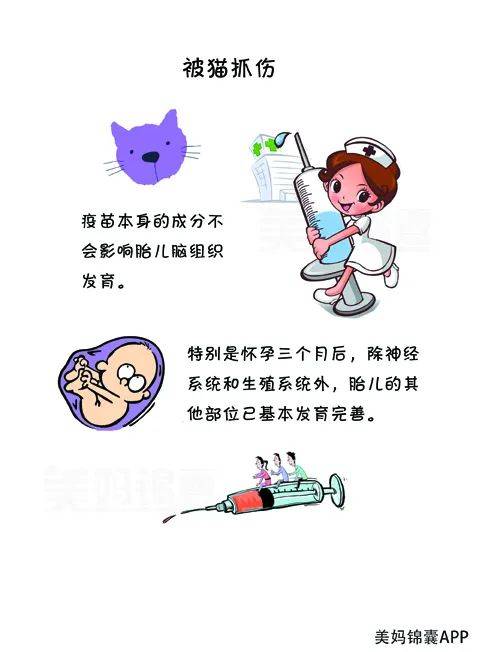 孕期被猫抓出血怎么办