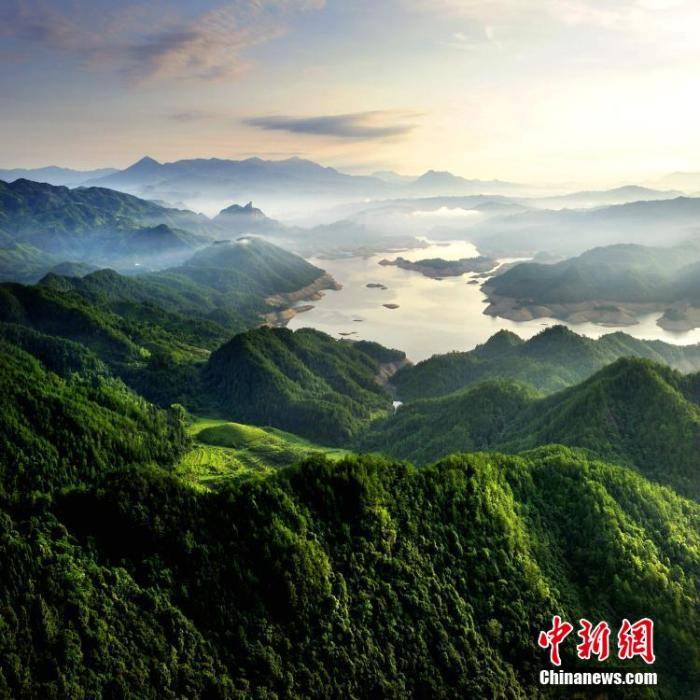 怎么做绿水 b805d57d64a4463a80d2d359e908db59.jpeg