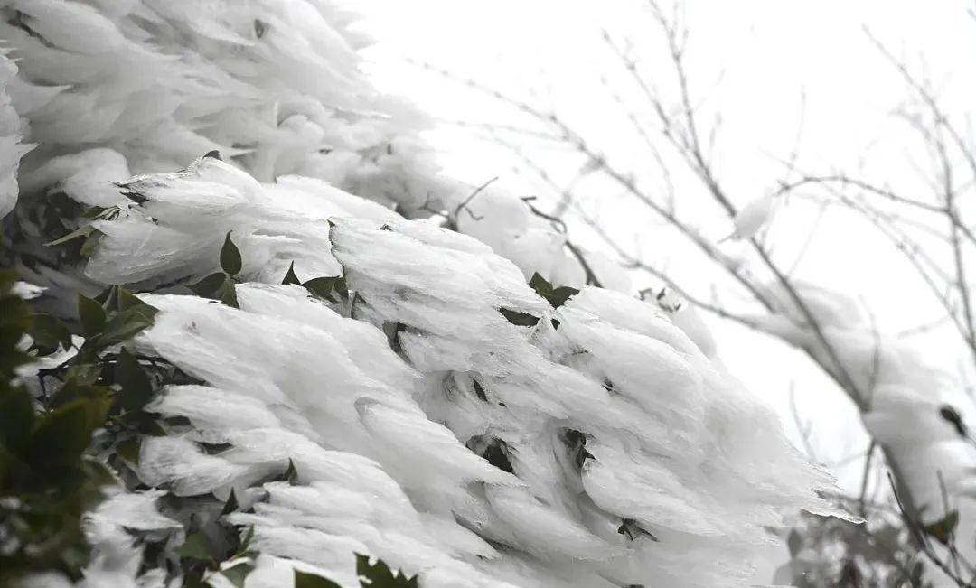 河源连平现冰挂雾凇美景,好像冰雪世界!