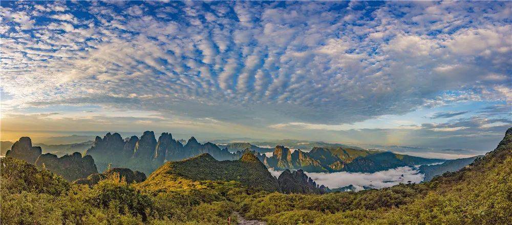 金秀县人口_国庆来宾旅游半价游,约起啦