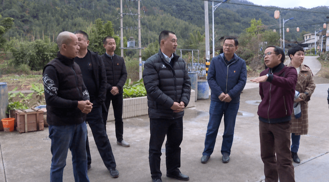 漳平市领导到双洋赤水调研农业农村工作