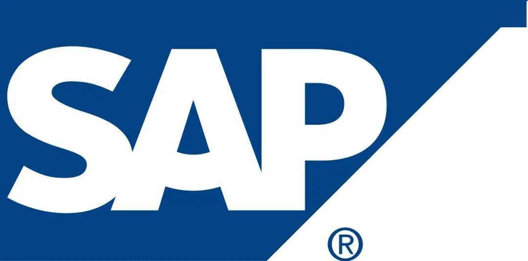 sap顾问招聘_SAP顾问的简介(3)