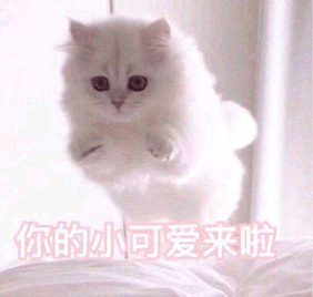 47af21d3b58343bca02184dc161458ef.png