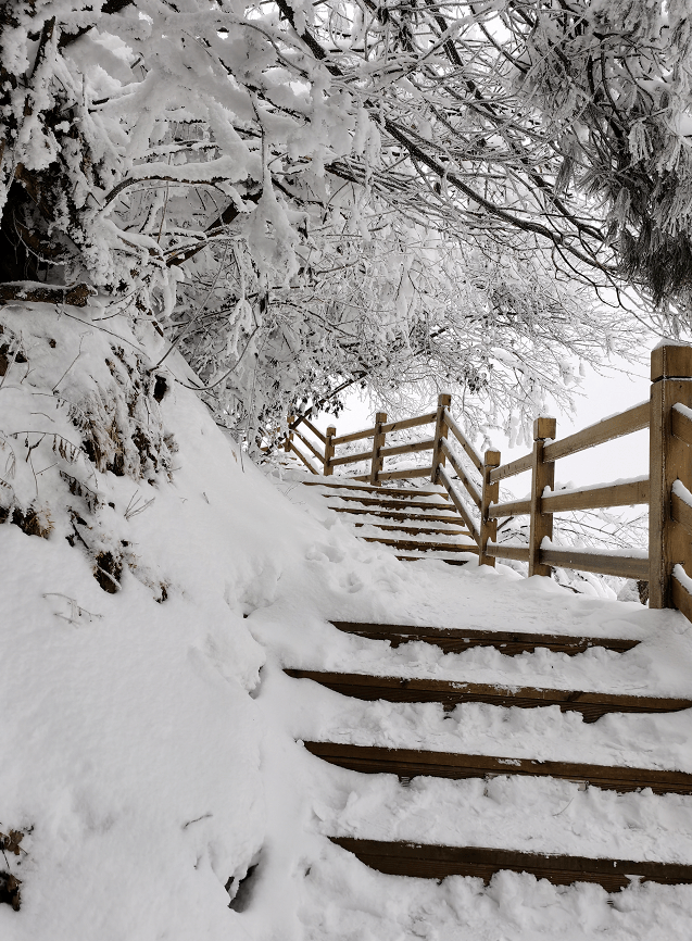 谁在光雾山种的雪呀?开成棉花满山野_巴中