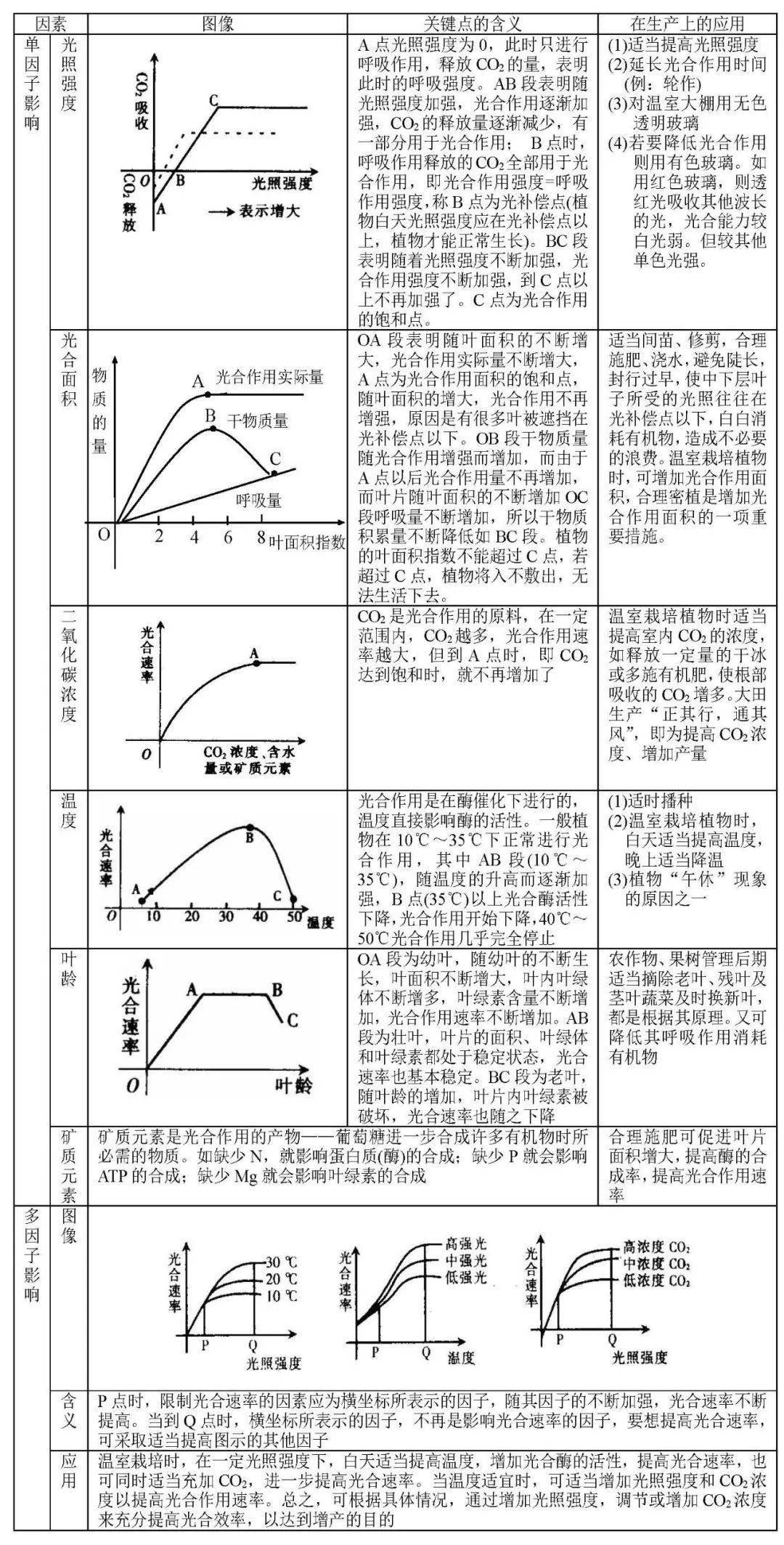 高中生物知识点之光合和呼吸