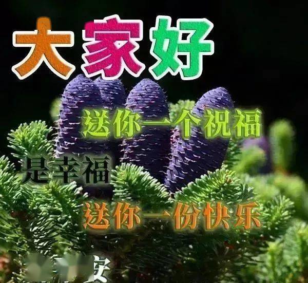 冬日温馨早安动态图片带字,祝老朋友早上好温暖祝福语