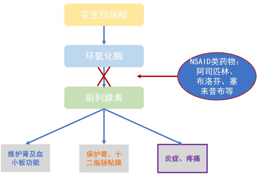 前列腺素是一类脂肪酸类物质,分好多种,由多种细胞产生,有些能促进