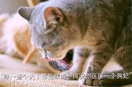 6a08a90c9f0546acb3617bc8426cf65f.jpeg