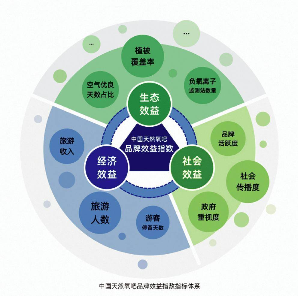 "国字号"认证!武义获评"中国天然氧吧"