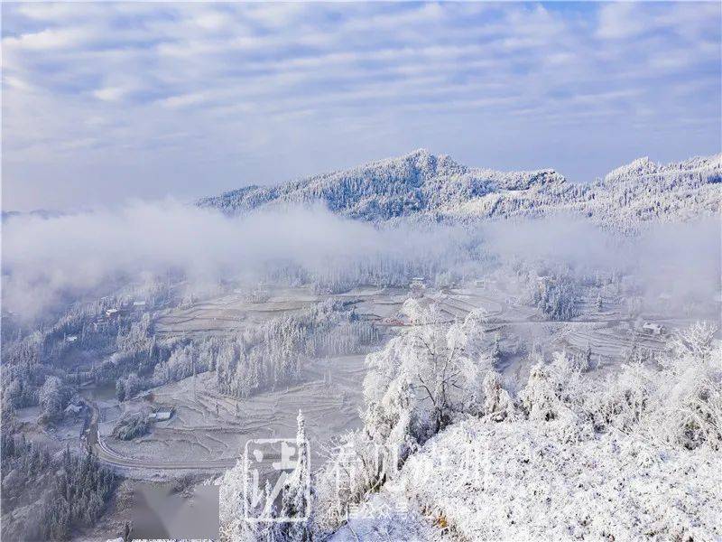 到雪季是泸州最高的地方罗汉林海拔1902米叙永·罗汉林美到无法形容看