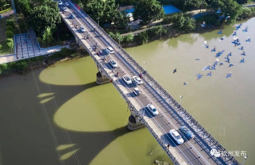 【你好,我们的城61事】钦江一桥,见证岁月变迁_钦州