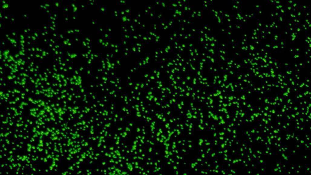 银河系有没有边界 81bc9c62298a4123a9920355446b21d3.jpeg