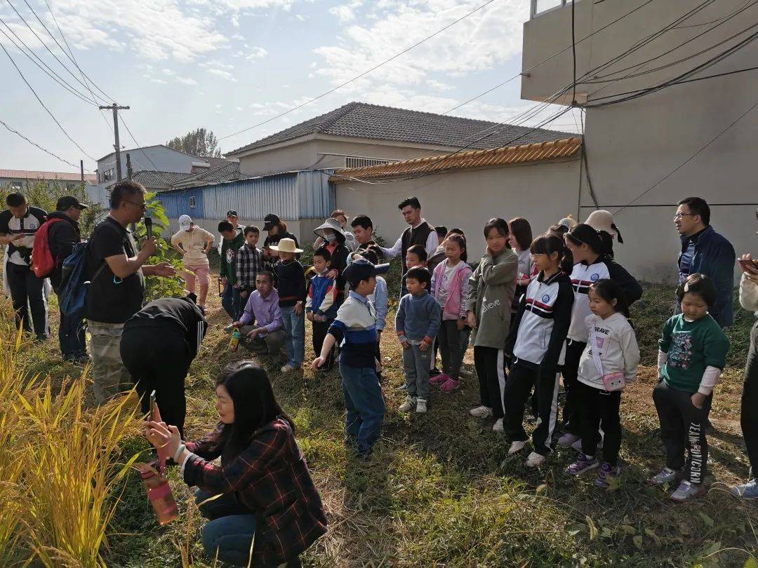 金坛:打造中小学生劳动实践基地新课堂