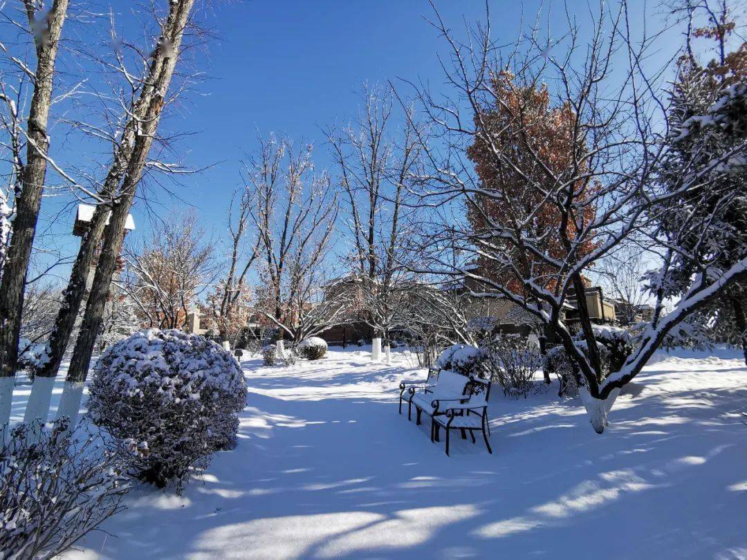 【清风雅诵】下雪的早晨