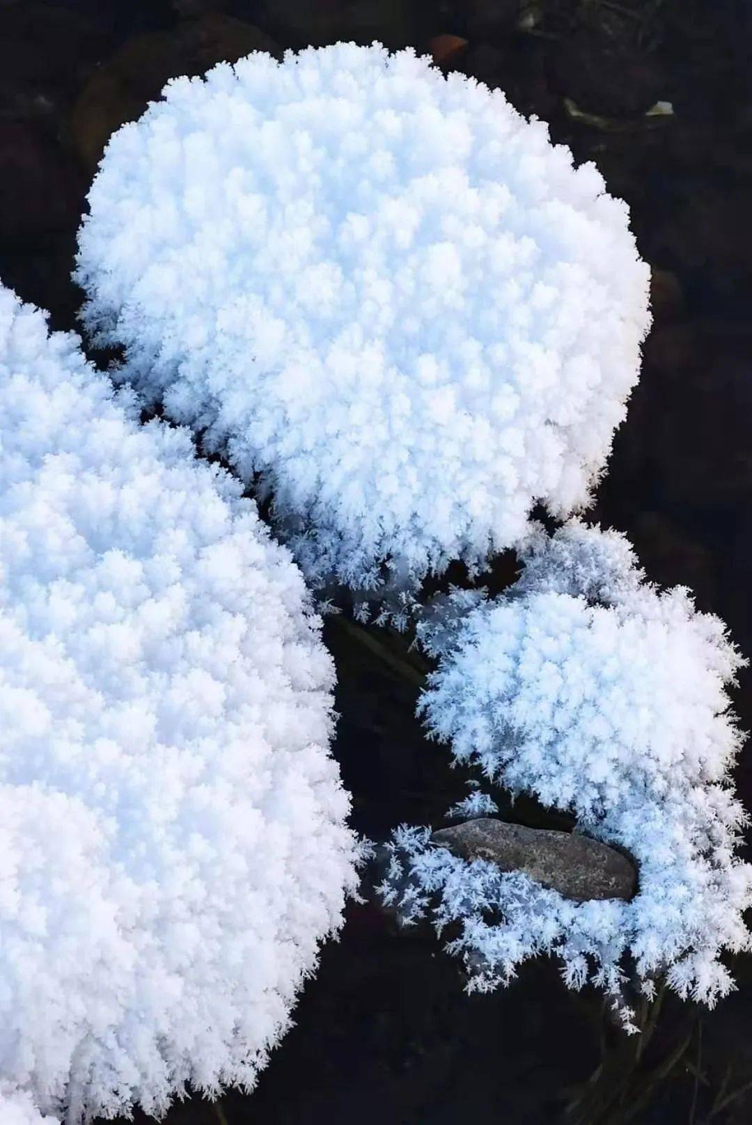 图里河上冰雪花