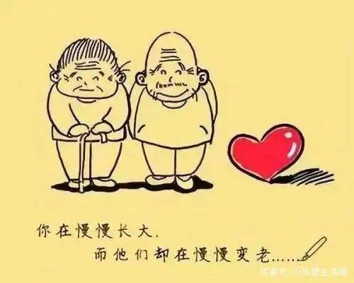 鞍山市人口有多少2021(2)