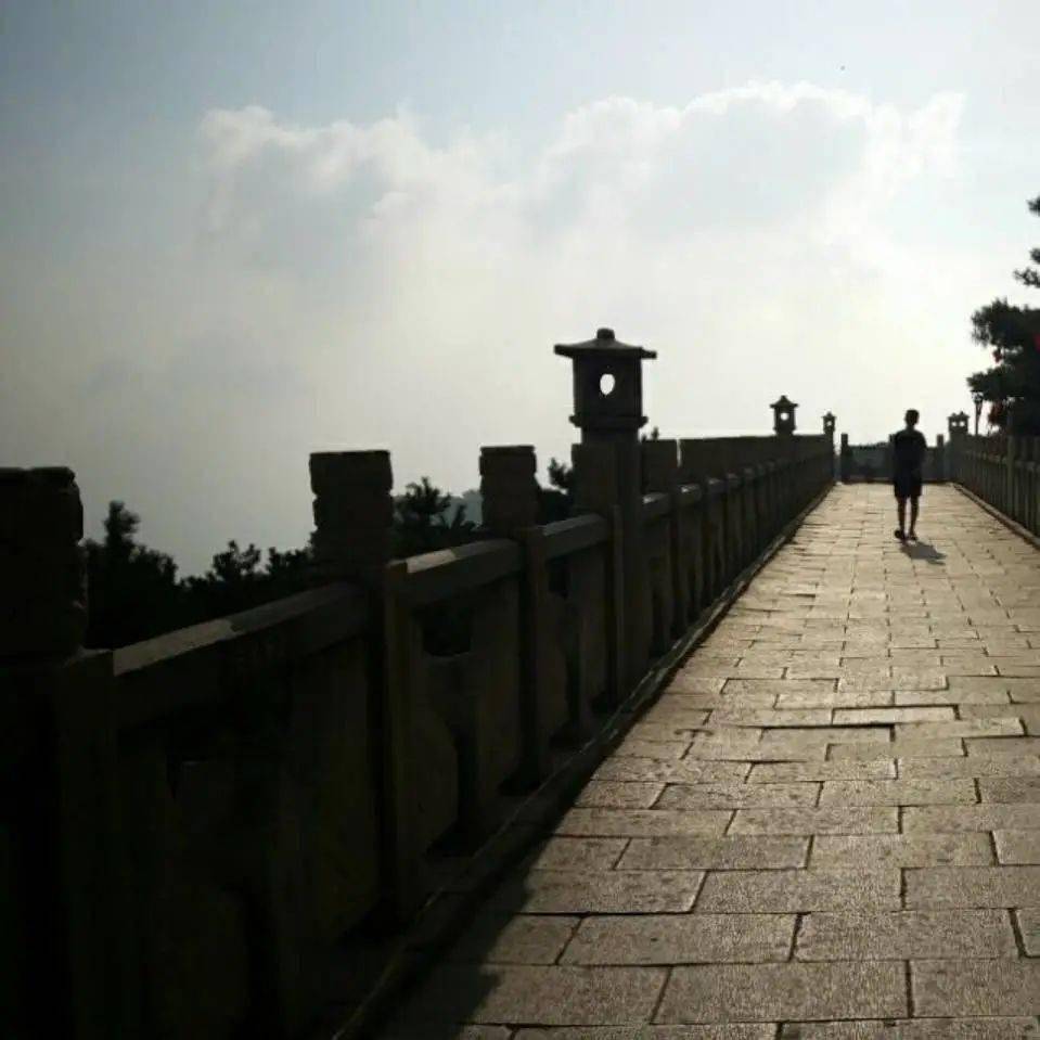 广播电视学专业排名_来吧,用影像写诗|欢迎报考广播电视学(电视摄影方向