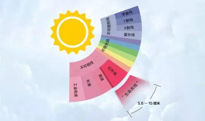 热量|7分钟卖出4000台，国产电暖器如何吊打国外百年老品牌？