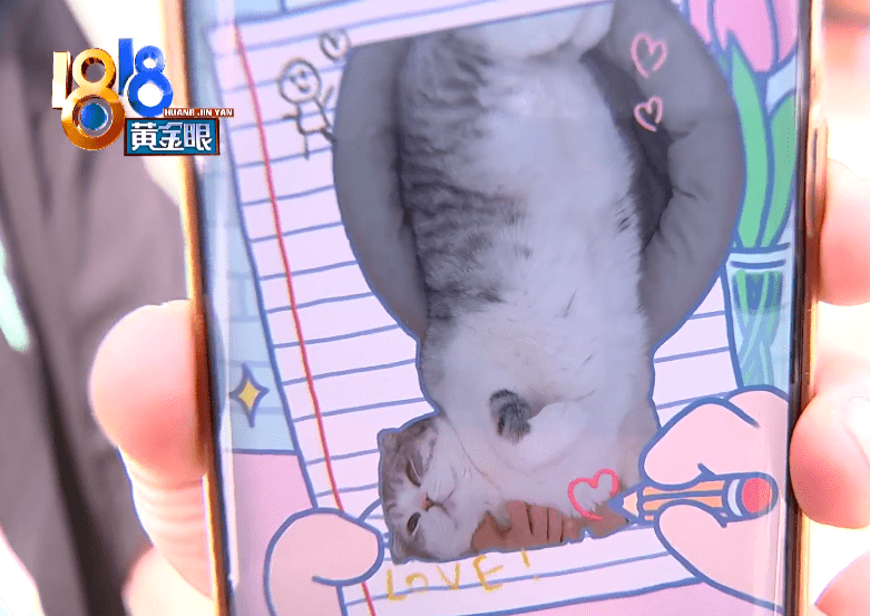 猫咪洗澡应激会得猫传腹吗 64139e1808054c3da5cb9195a406b20b.png
