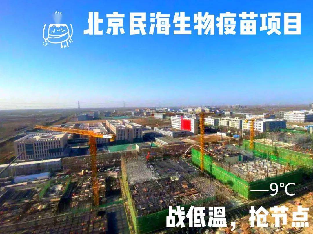 北京民海生物疫苗项目 84天夙兴夜寐  84天披荆斩棘 项目全体管理