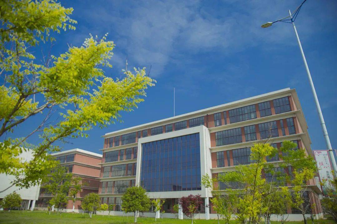 文章配图-4